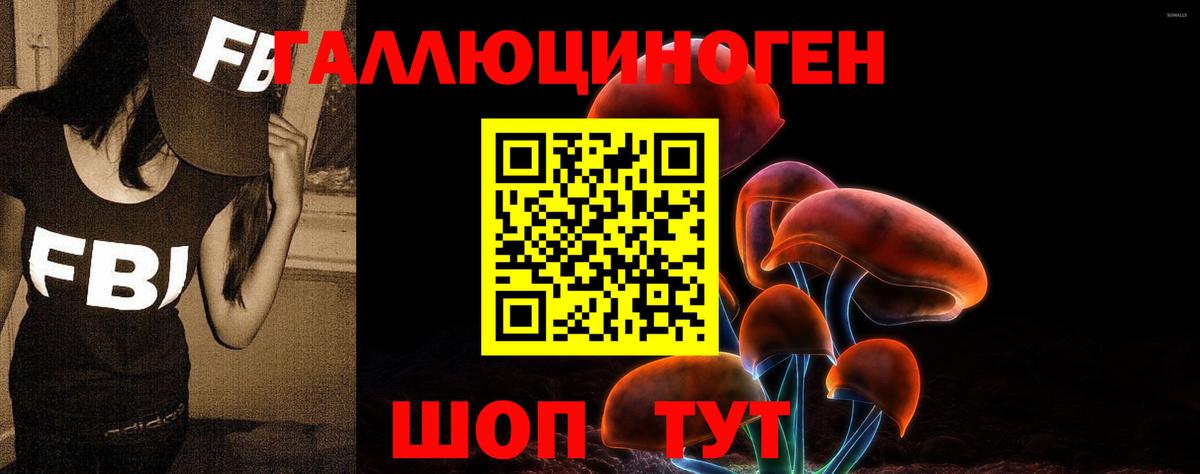 Галлюциногенные грибы GOLDEN TEACHER Ачинск
